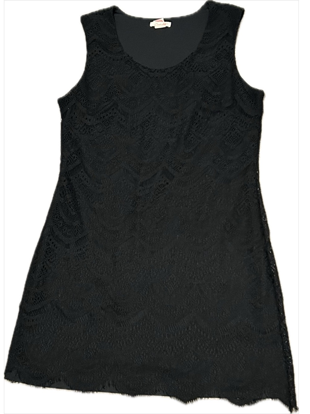 Sleeveless Black Lace Mini Dress - Brand Unknown